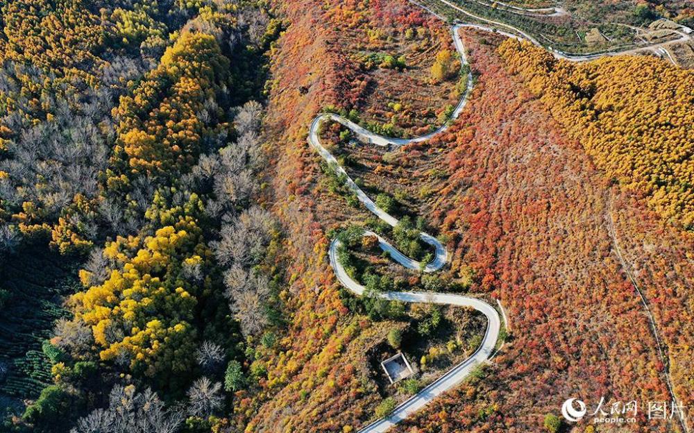 百花山|京郊百花山迎来最美秋景