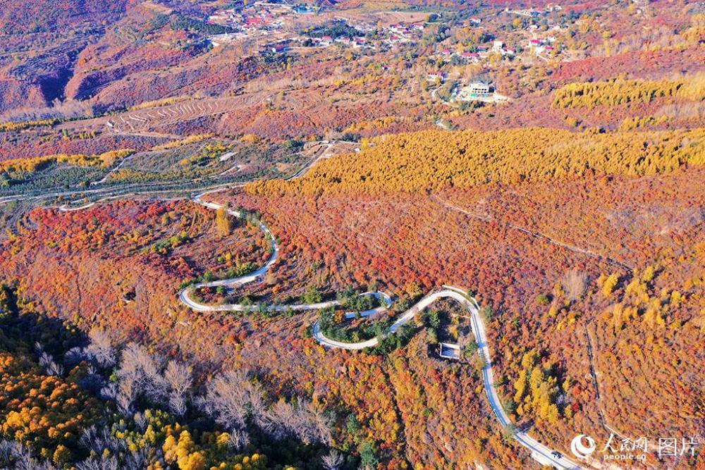 百花山|京郊百花山迎来最美秋景