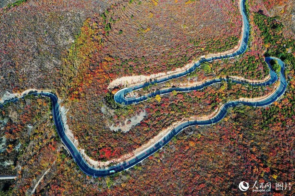 百花山|京郊百花山迎来最美秋景