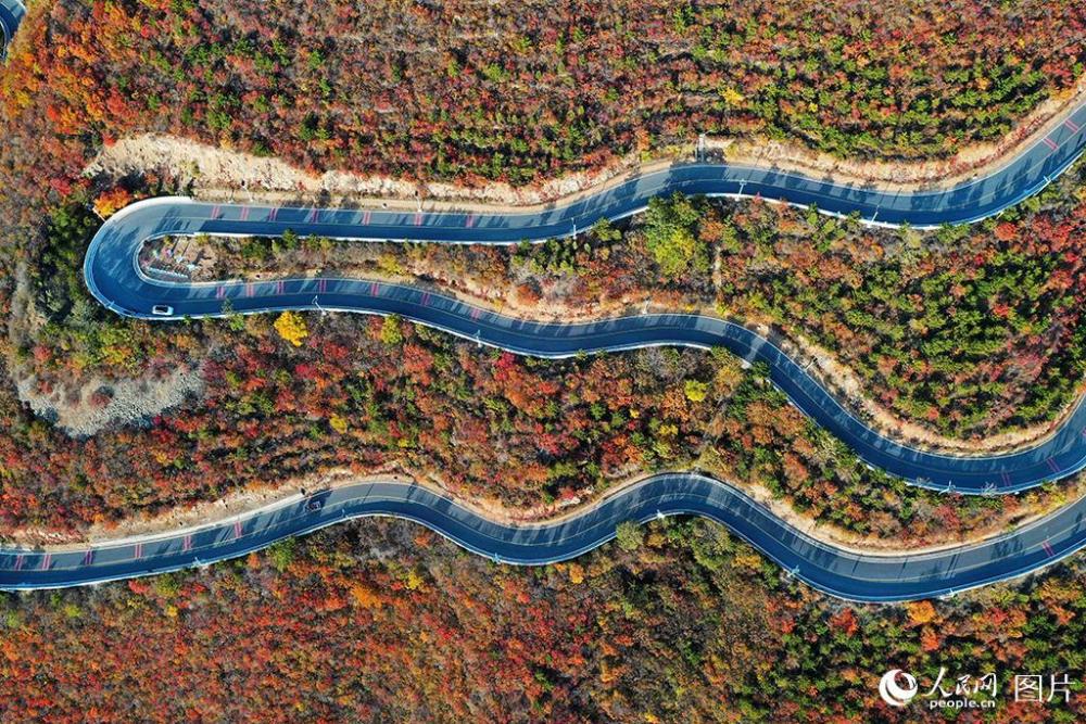 百花山|京郊百花山迎来最美秋景