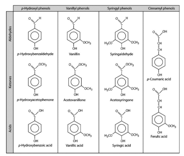 木质素单体的苯环结构(图片来源:参考文献 [1] )