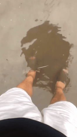 成语死心什么儿_死心图片(2)