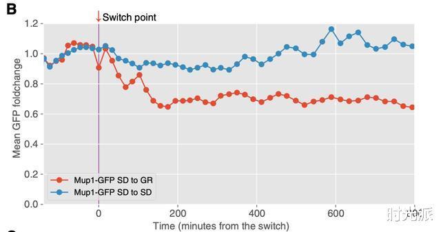 甲硫氨酸|清华北大联合发现，减少甲硫氨酸可延寿10年，实验登上《科学》