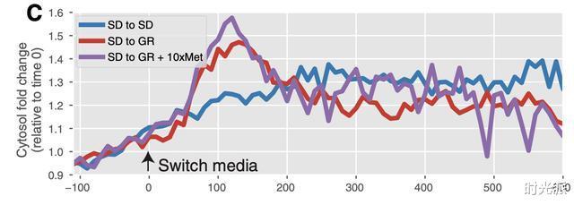 甲硫氨酸|清华北大联合发现，减少甲硫氨酸可延寿10年，实验登上《科学》