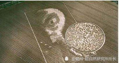 麦田|麦田怪圈竟然是假的？究竟是人为还是某种未知的杰作？