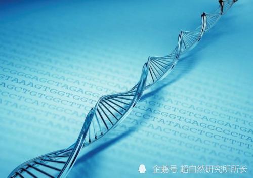 麦田|麦田怪圈竟然是假的？究竟是人为还是某种未知的杰作？