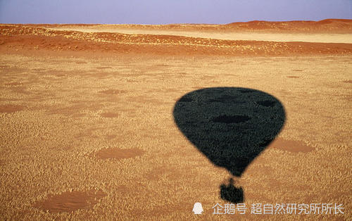 麦田|麦田怪圈竟然是假的？究竟是人为还是某种未知的杰作？