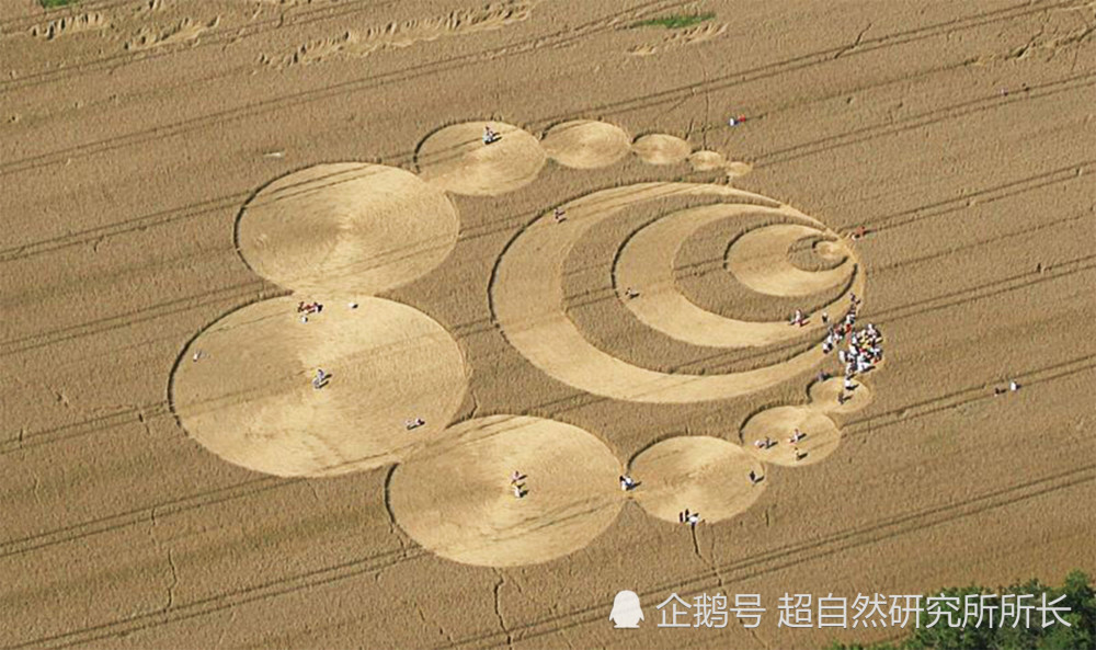 麦田|麦田怪圈竟然是假的？究竟是人为还是某种未知的杰作？