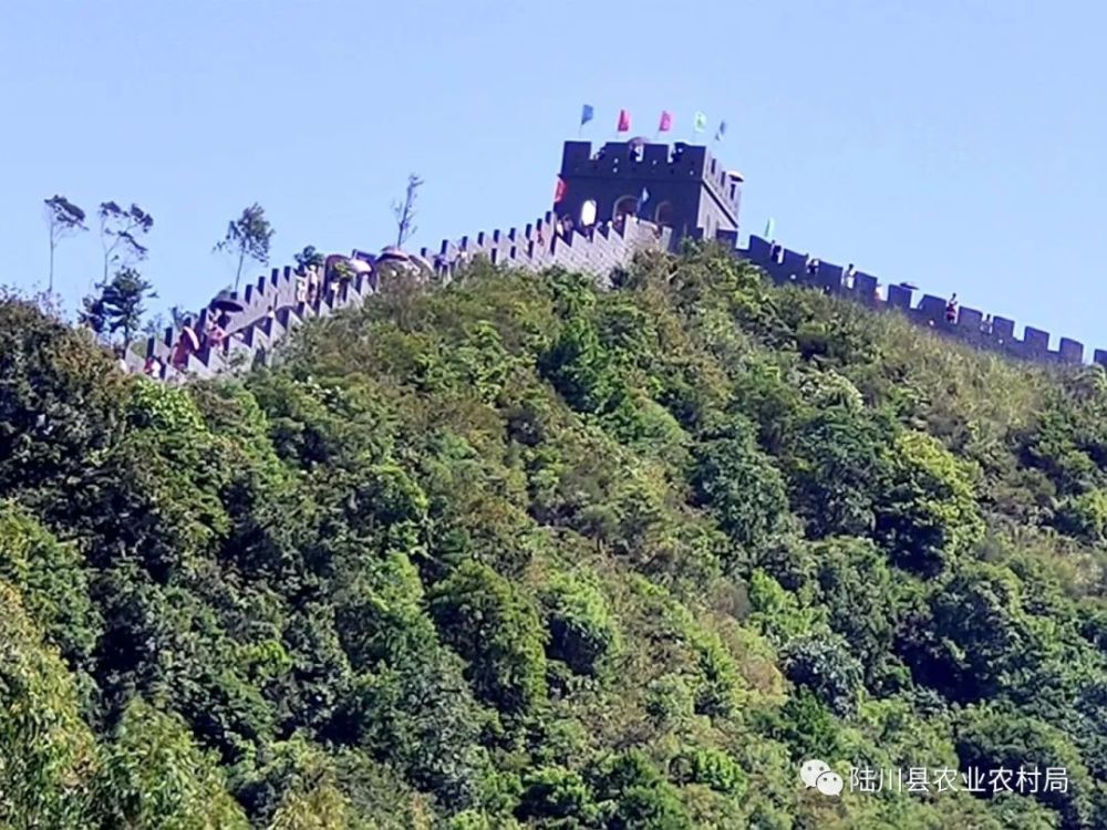 陆川县建起了长城,招来四方游客纷纷前来打卡!