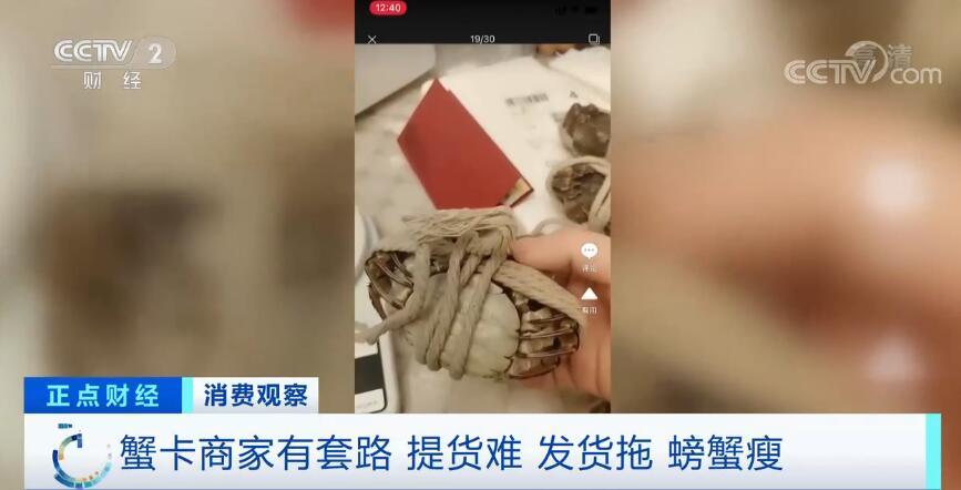 央视揭蟹卡套路-WordPress极简博客