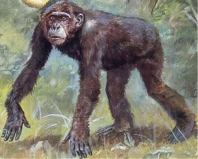 地球|为什么人类会进化成必须用衣物来御寒？科学家：人类的祖先太难了