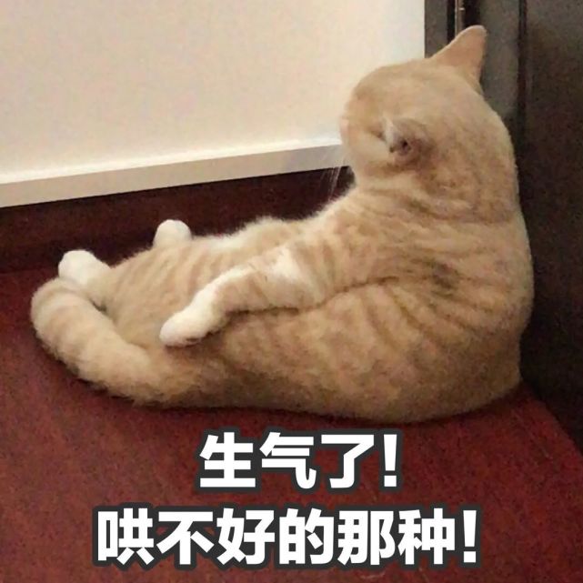 而且还是哄不好的那种…好生气啊哒哒哒!