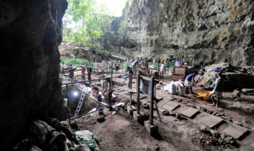 尤瓦尔·赫拉利|专访｜赫拉利：如果科学家写书都像《人类简史》，那就没有科学了
