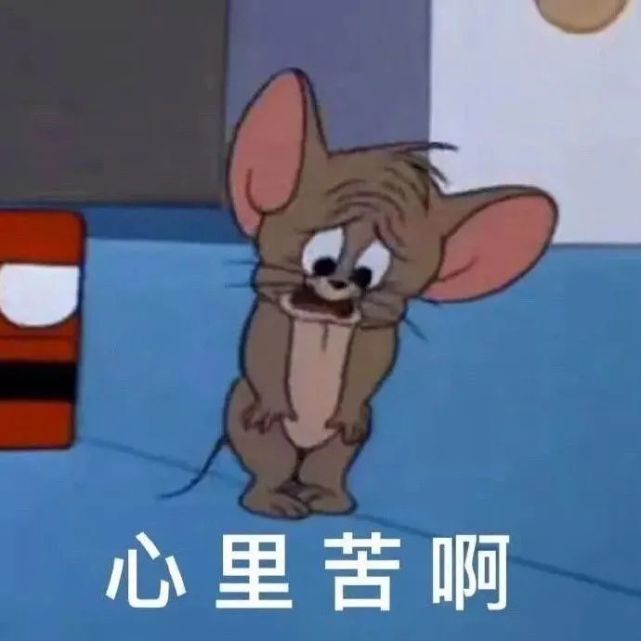 表情包:心裡苦啊寶寶