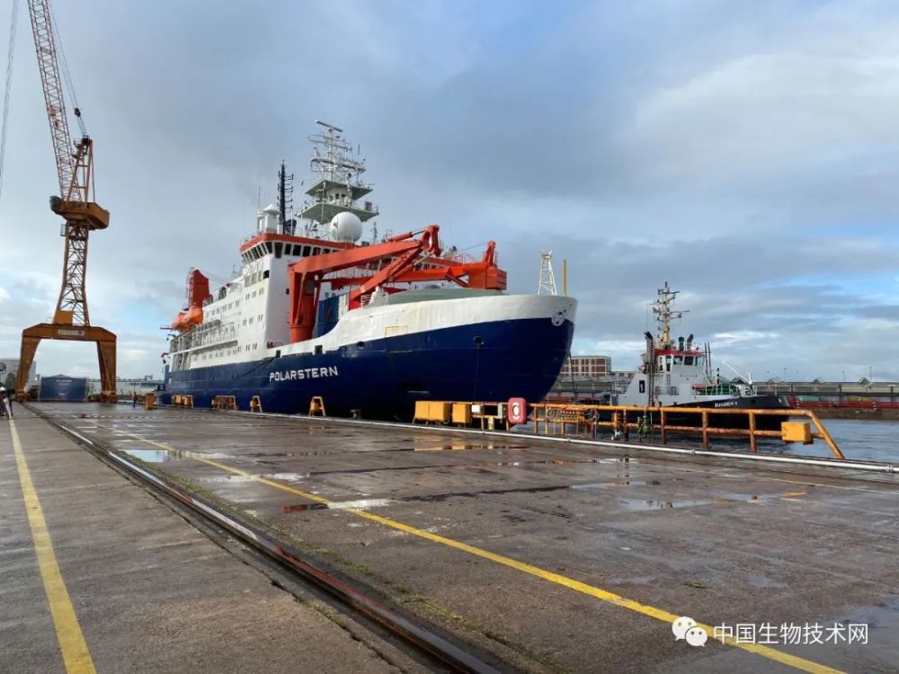 北极地区|史上最大型北极科考团排除万难胜利返港，也带来了坏消息……