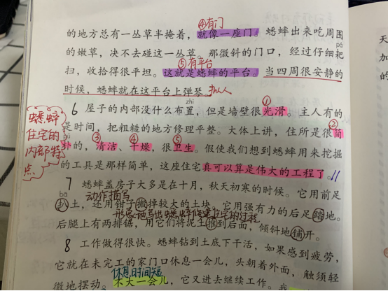 小学语文蟋蟀的住宅跟随老师笔记学习课文重要知识点