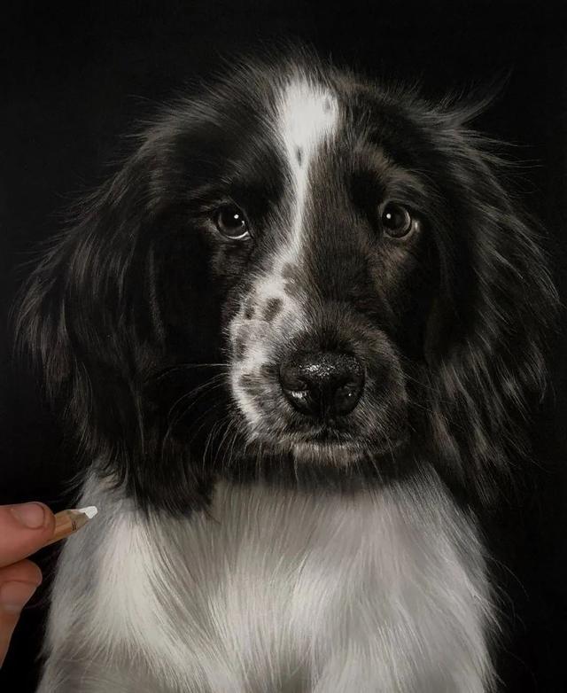 彩铅|彩铅竟然可以画得如此写实，看完吓到了吧