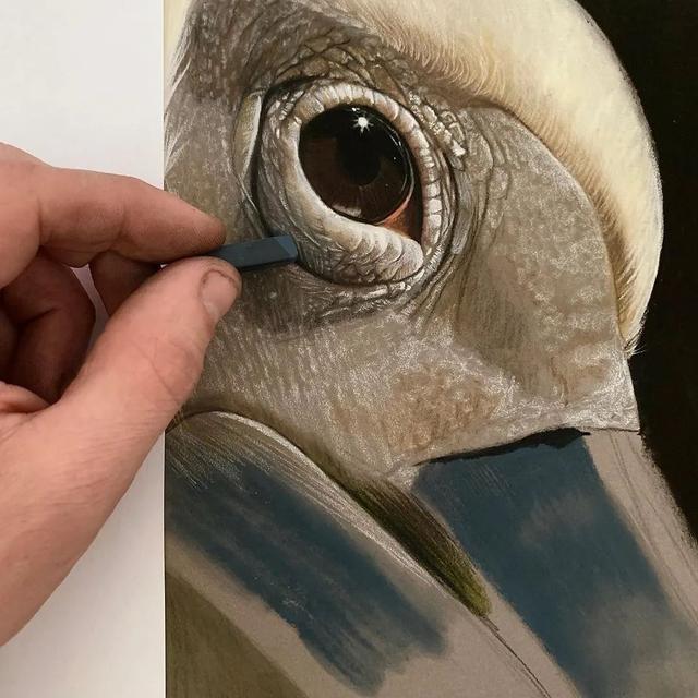 彩铅|彩铅竟然可以画得如此写实，看完吓到了吧