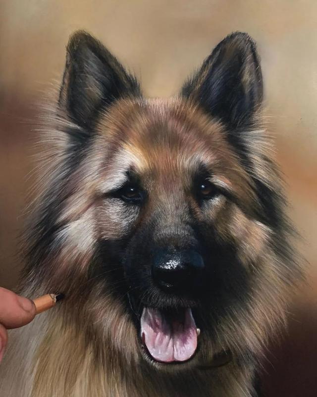 彩铅|彩铅竟然可以画得如此写实，看完吓到了吧