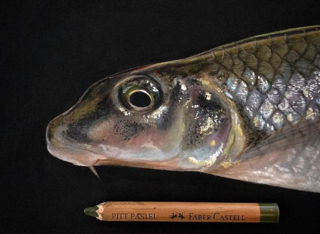 彩铅|彩铅竟然可以画得如此写实，看完吓到了吧