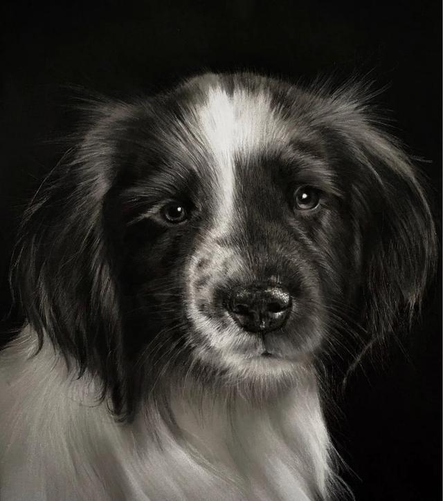 彩铅|彩铅竟然可以画得如此写实，看完吓到了吧