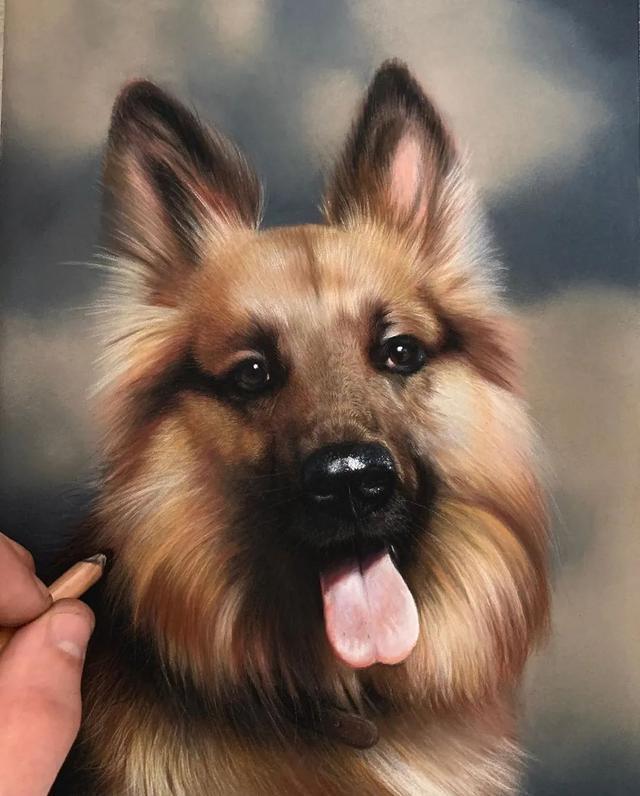 彩铅|彩铅竟然可以画得如此写实，看完吓到了吧