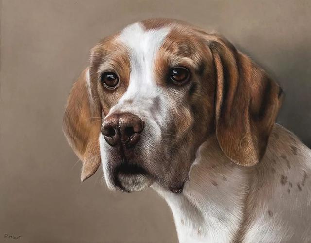 彩铅|彩铅竟然可以画得如此写实，看完吓到了吧