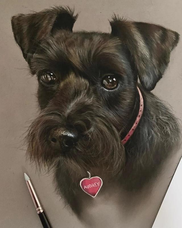 彩铅|彩铅竟然可以画得如此写实，看完吓到了吧