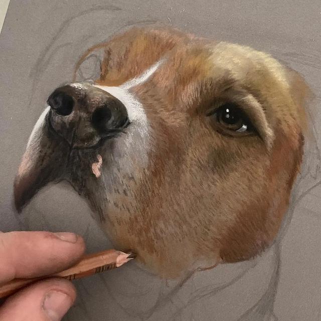 彩铅|彩铅竟然可以画得如此写实，看完吓到了吧