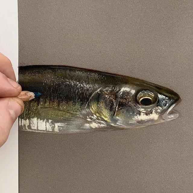 彩铅|彩铅竟然可以画得如此写实，看完吓到了吧