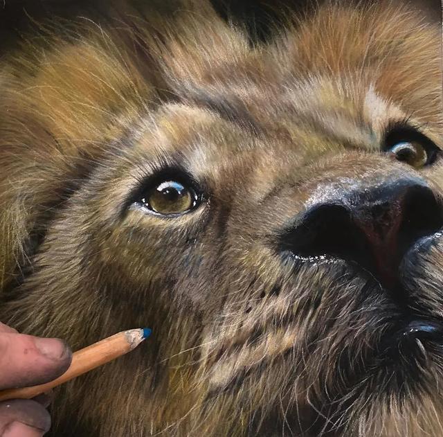 彩铅|彩铅竟然可以画得如此写实，看完吓到了吧