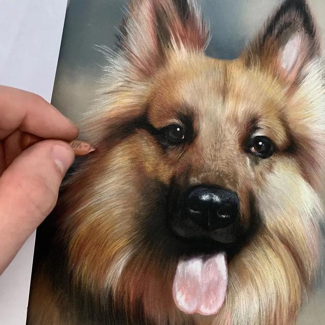 彩铅|彩铅竟然可以画得如此写实，看完吓到了吧