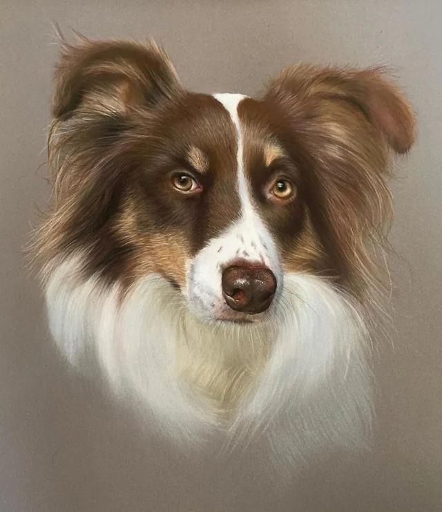 彩铅|彩铅竟然可以画得如此写实，看完吓到了吧