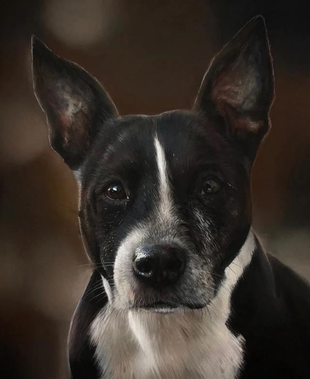 彩铅|彩铅竟然可以画得如此写实，看完吓到了吧