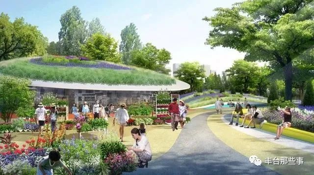 湿地公园|丰台这个大公园要“开建”！南苑湿地公园的下一步工作部署也已公布