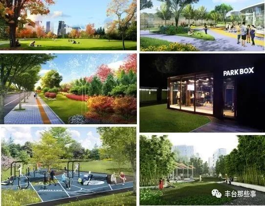 湿地公园|丰台这个大公园要“开建”！南苑湿地公园的下一步工作部署也已公布