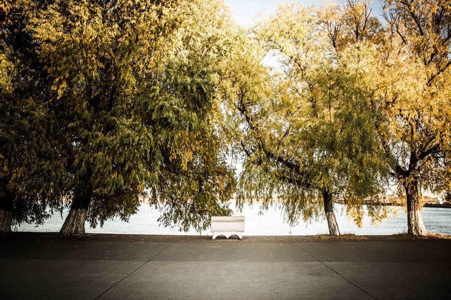 家乡|中国人为什么那么爱回家？离开家乡后，更懂得家的意义