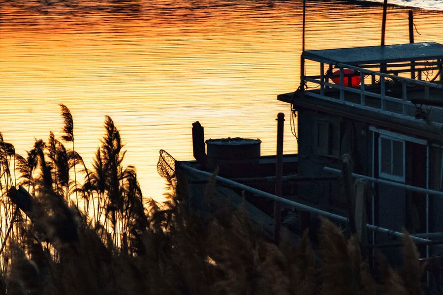 家乡|中国人为什么那么爱回家？离开家乡后，更懂得家的意义