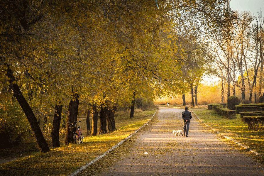 家乡|中国人为什么那么爱回家？离开家乡后，更懂得家的意义