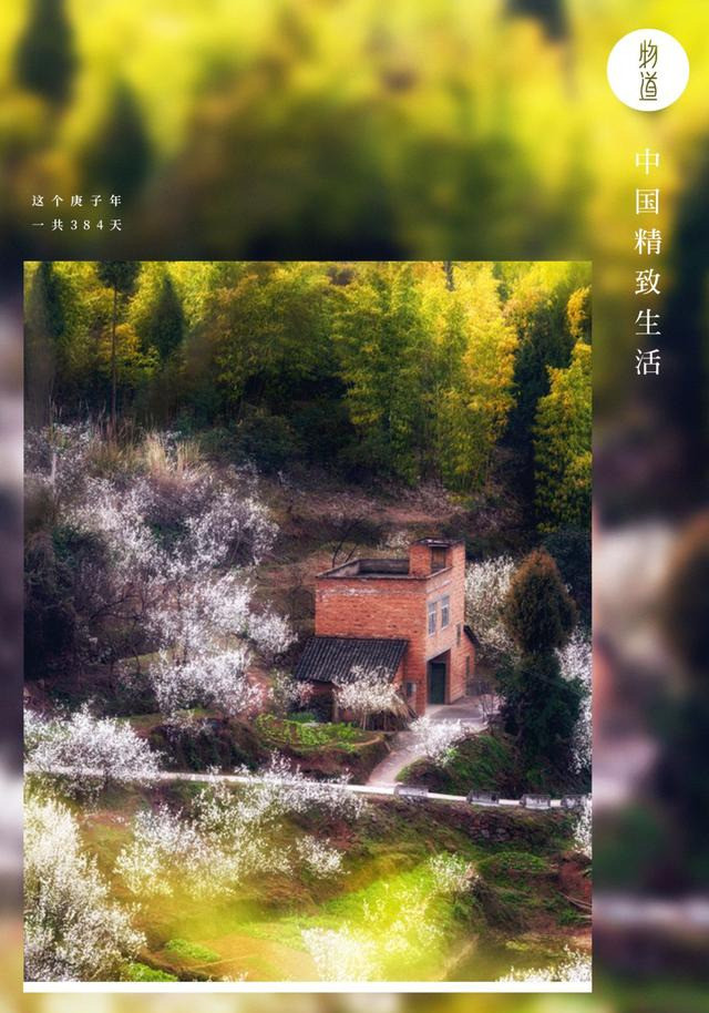 家乡|中国人为什么那么爱回家？离开家乡后，更懂得家的意义