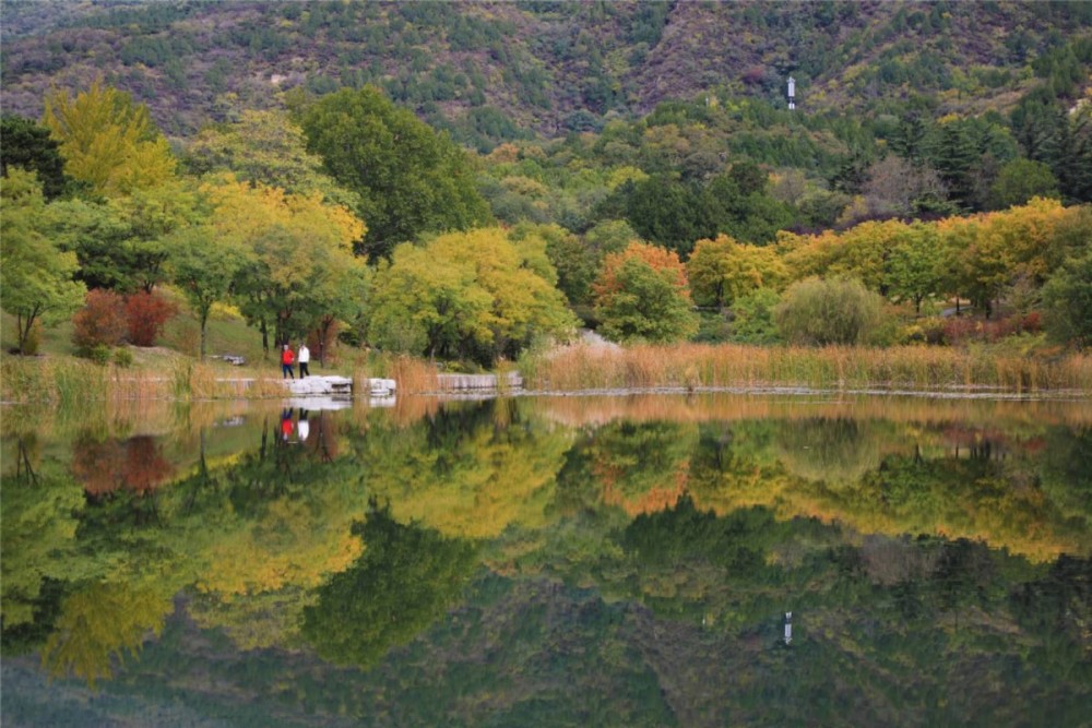 游人|多图｜北京植物园，秋色入佳境