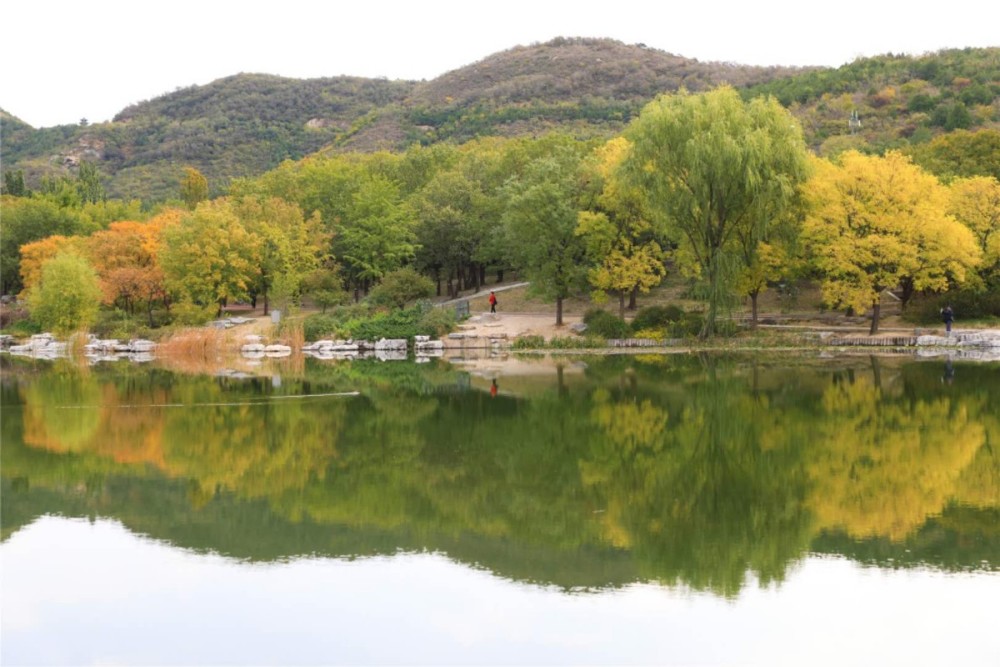 游人|多图｜北京植物园，秋色入佳境