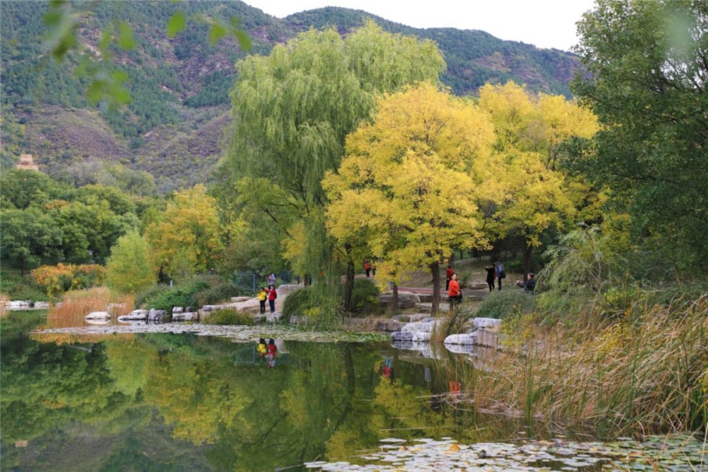 游人|多图｜北京植物园，秋色入佳境
