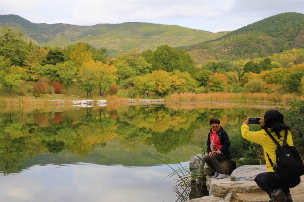 游人|多图｜北京植物园，秋色入佳境