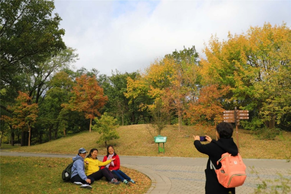 游人|多图｜北京植物园，秋色入佳境