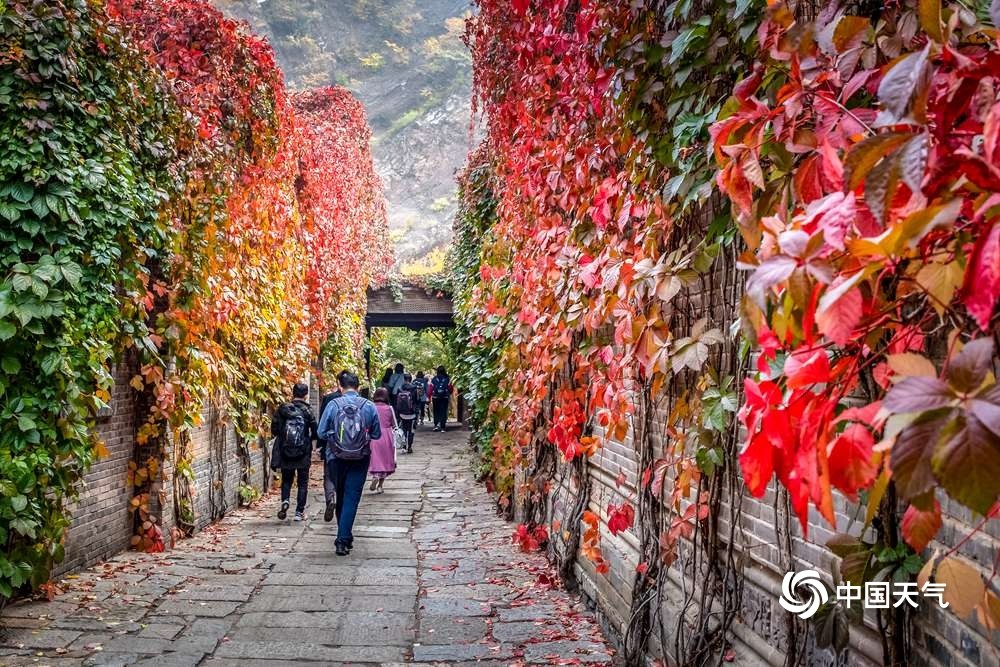 古北水镇|寻秋北京 长城脚下赏红叶