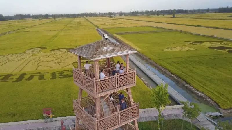 稻香文化,西迁文化,增设稻田养殖,农业培育示范,观光农业,休闲度假等