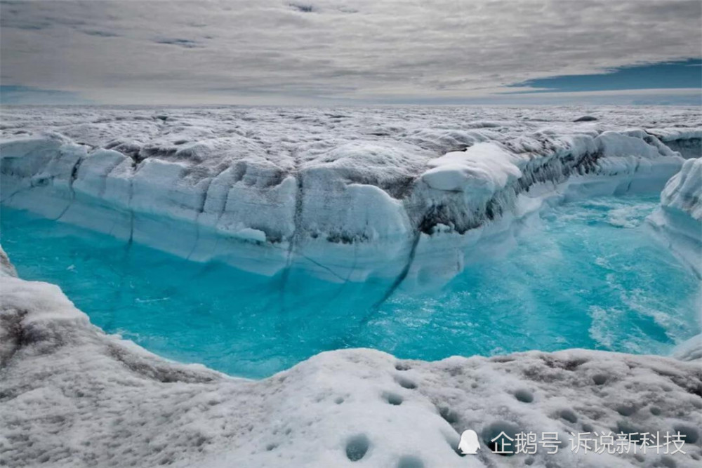 科学家|地球将回到9000万年前？科学家在北极发现证据，对人类是好是坏？
