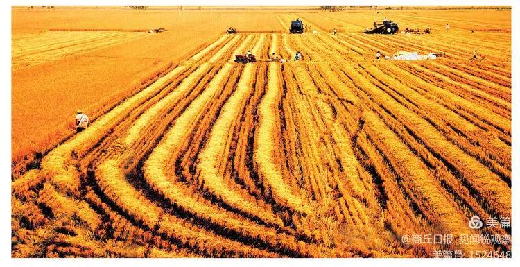 商丘|“殷商之源”，商丘真“管”！