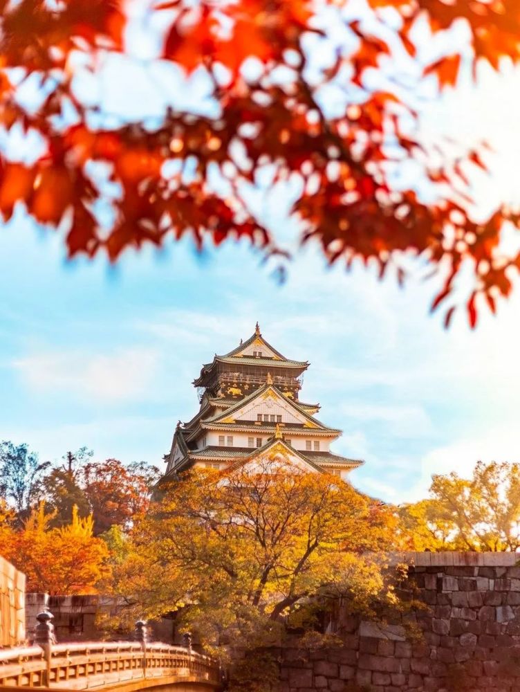 秋天第一杯奶茶的绝配 一定是秋天第一波红叶 腾讯新闻